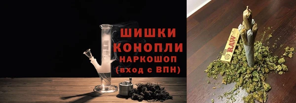 дживик Россошь