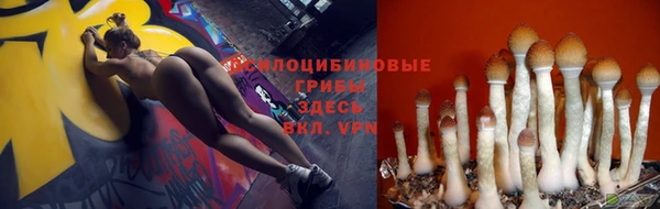 mdma Рославль