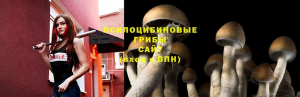 марки lsd Ростов